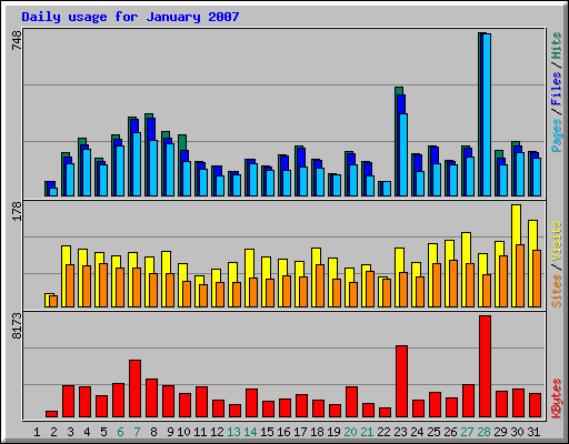 Daily usage for January 2007