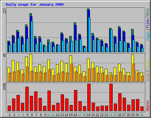 Daily usage for January 2009