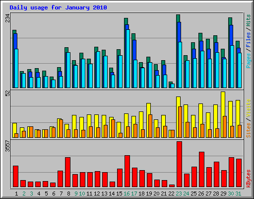 Daily usage for January 2010