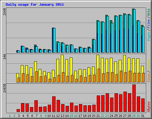 Daily usage for January 2011