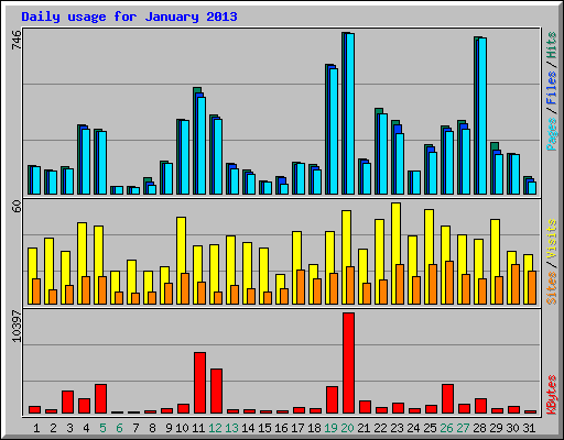 Daily usage for January 2013