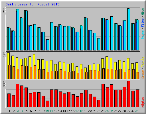 Daily usage for August 2013