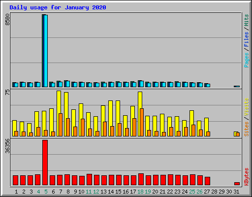 Daily usage for January 2020