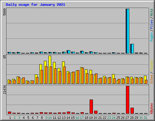 Daily usage for January 2021