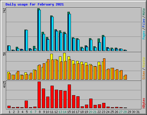 Daily usage for February 2021