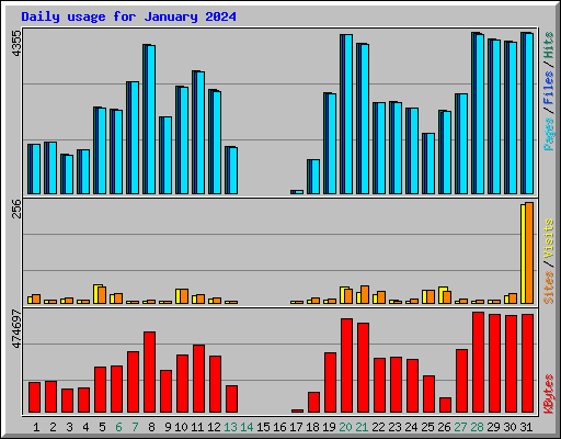 Daily usage for January 2024