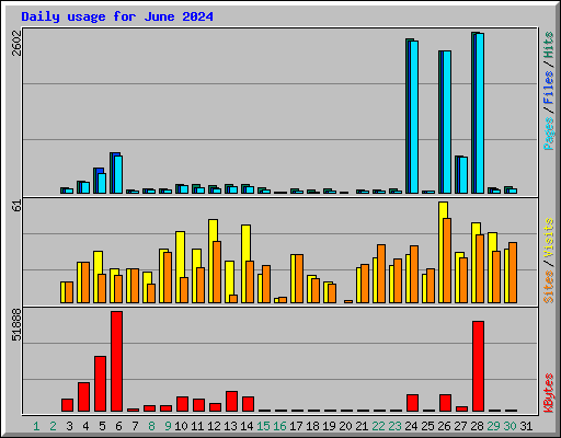 Daily usage for June 2024