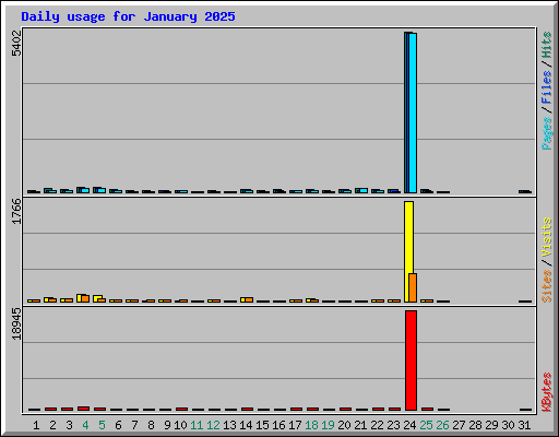 Daily usage for January 2025