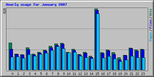Hourly usage for January 2007