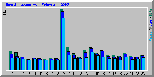 Hourly usage for February 2007