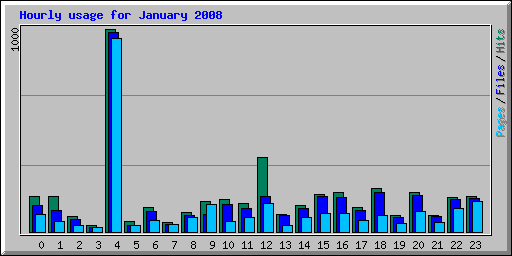 Hourly usage for January 2008
