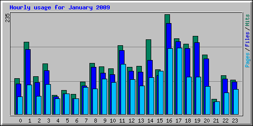 Hourly usage for January 2009