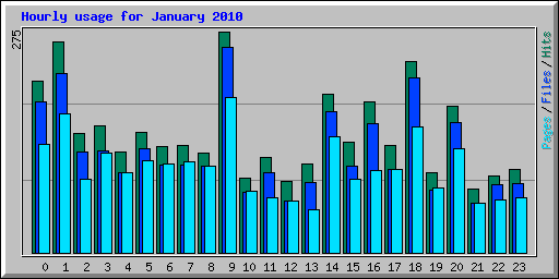 Hourly usage for January 2010