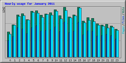 Hourly usage for January 2011
