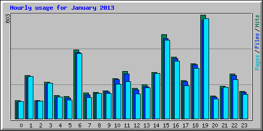 Hourly usage for January 2013