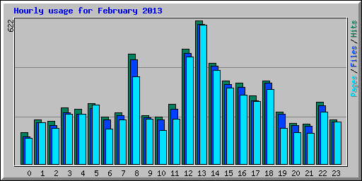 Hourly usage for February 2013
