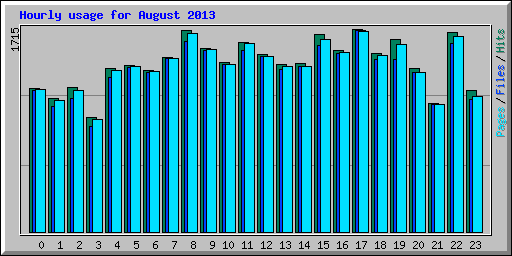Hourly usage for August 2013