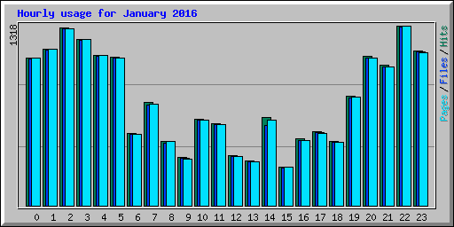Hourly usage for January 2016