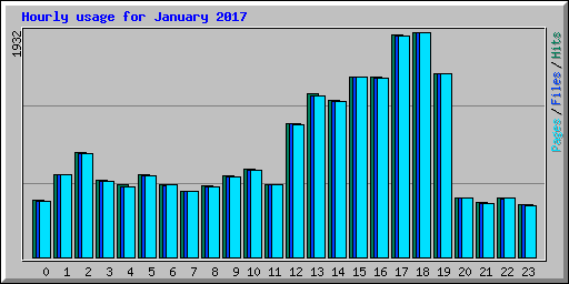 Hourly usage for January 2017