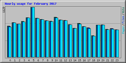 Hourly usage for February 2017