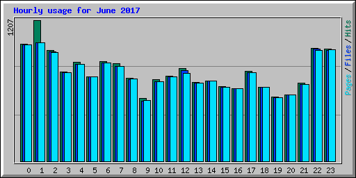 Hourly usage for June 2017