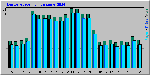 Hourly usage for January 2020