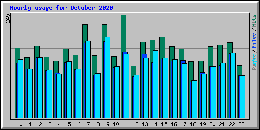Hourly usage for October 2020