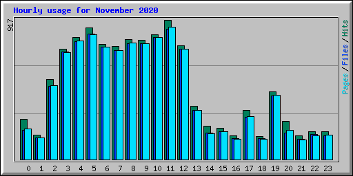 Hourly usage for November 2020