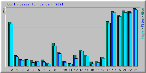 Hourly usage for January 2021