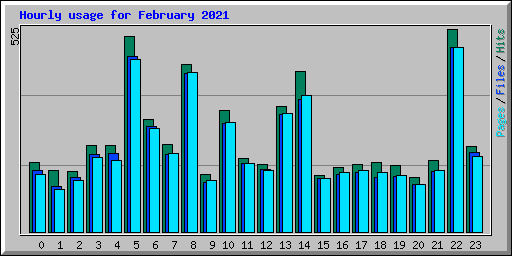 Hourly usage for February 2021