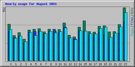 Hourly usage for August 2021