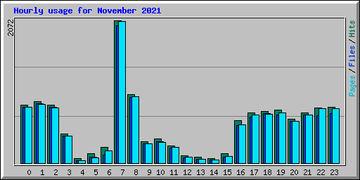 Hourly usage for November 2021