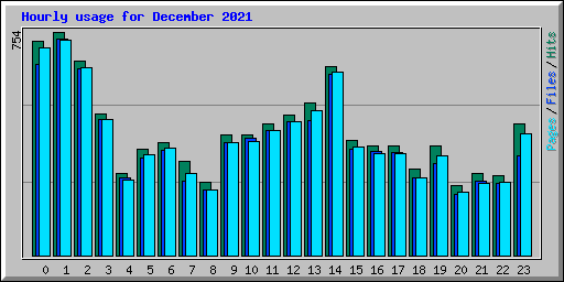 Hourly usage for December 2021