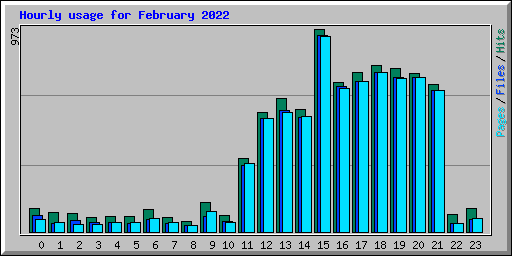 Hourly usage for February 2022