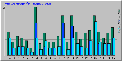 Hourly usage for August 2023