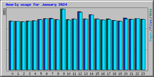 Hourly usage for January 2024