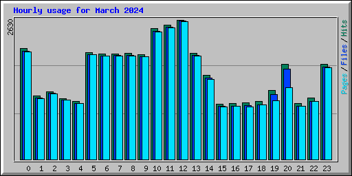 Hourly usage for March 2024