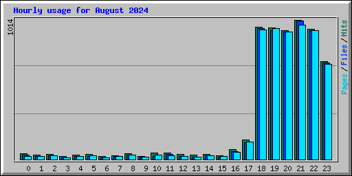 Hourly usage for August 2024