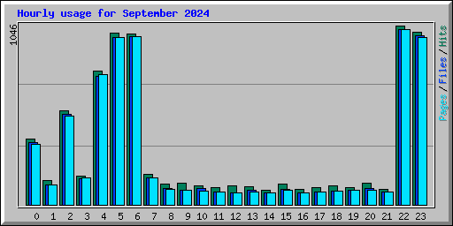 Hourly usage for September 2024