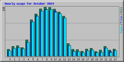 Hourly usage for October 2024