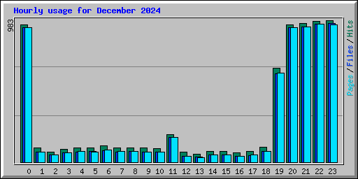 Hourly usage for December 2024