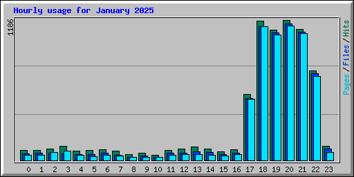 Hourly usage for January 2025