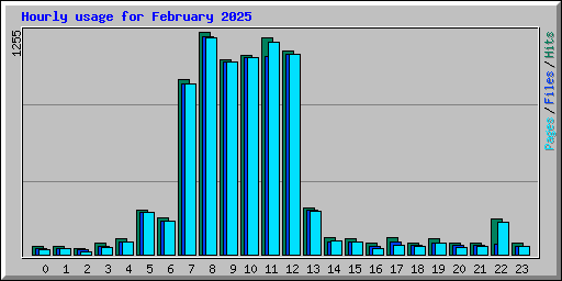 Hourly usage for February 2025