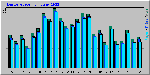 Hourly usage for June 2025