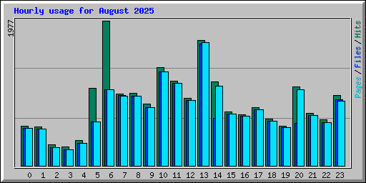 Hourly usage for August 2025
