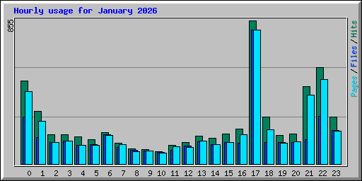 Hourly usage for January 2026
